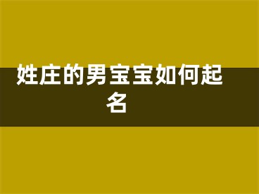  姓庄的男宝宝如何起名 