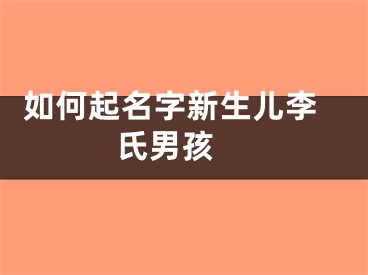  如何起名字新生儿李氏男孩 