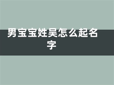  男宝宝姓吴怎么起名字 