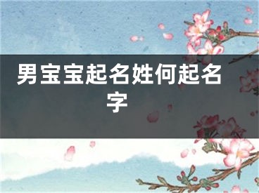  男宝宝起名姓何起名字 