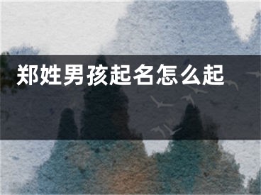  郑姓男孩起名怎么起 