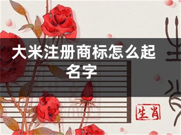  大米注册商标怎么起名字 