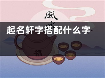  起名轩字搭配什么字 