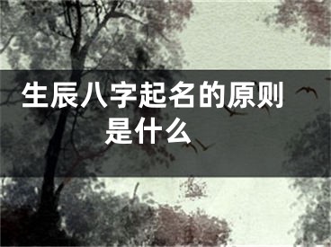  生辰八字起名的原则是什么 