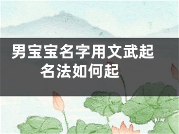  男宝宝名字用文武起名法如何起 