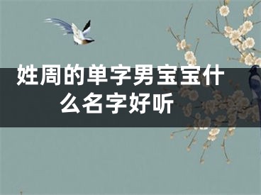  姓周的单字男宝宝什么名字好听 