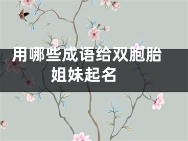  用哪些成语给双胞胎姐妹起名 