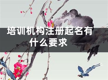  培训机构注册起名有什么要求 