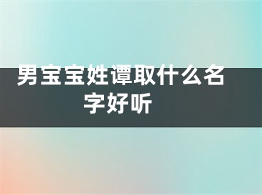  男宝宝姓谭取什么名字好听 