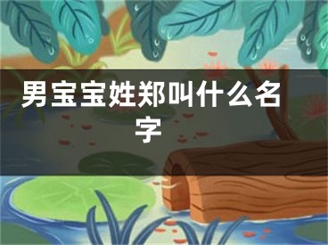  男宝宝姓郑叫什么名字 