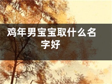  鸡年男宝宝取什么名字好 