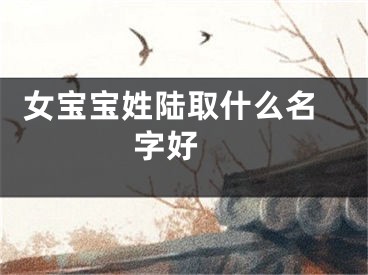  女宝宝姓陆取什么名字好 