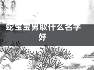  蛇宝宝男取什么名字好 