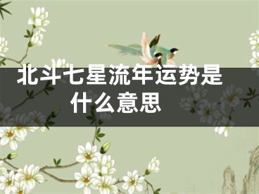  北斗七星流年运势是什么意思 