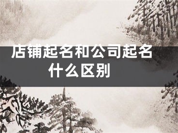  店铺起名和公司起名什么区别 