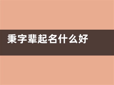  秉字辈起名什么好 