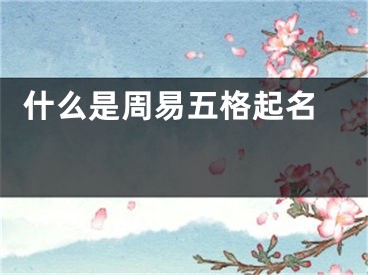  什么是周易五格起名 