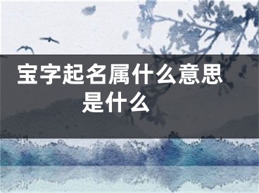  宝字起名属什么意思是什么 