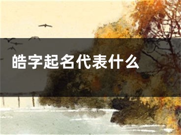  皓字起名代表什么 