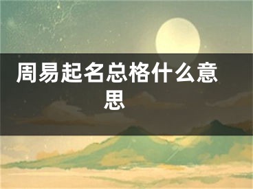  周易起名总格什么意思 