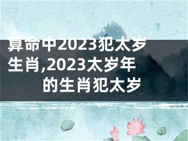 算命中2023犯太岁生肖,2023太岁年的生肖犯太岁