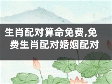 生肖配对算命免费,免费生肖配对婚姻配对