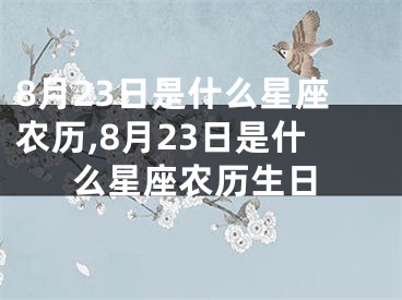 8月23日是什么星座农历,8月23日是什么星座农历生日