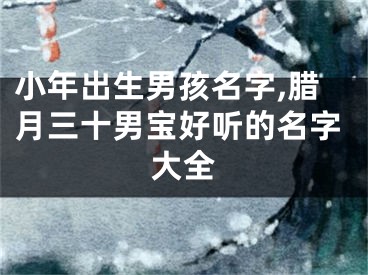 小年出生男孩名字,腊月三十男宝好听的名字大全