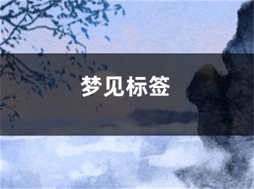 梦见标签