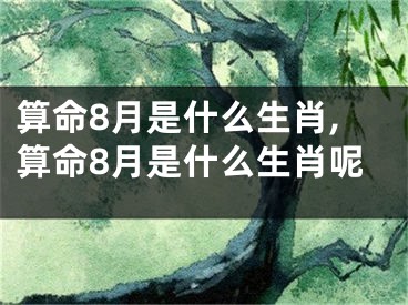 算命8月是什么生肖,算命8月是什么生肖呢