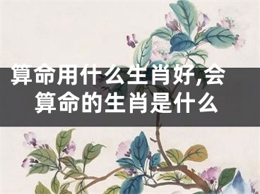 算命用什么生肖好,会算命的生肖是什么