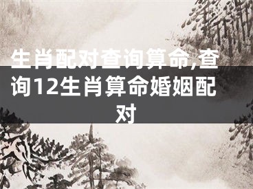 生肖配对查询算命,查询12生肖算命婚姻配对