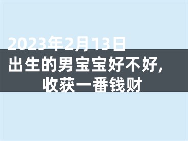 2023年2月13日出生的男宝宝好不好,收获一番钱财