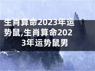 生肖算命2023年运势鼠,生肖算命2023年运势鼠男