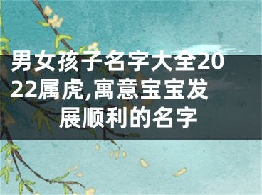 男女孩子名字大全2022属虎,寓意宝宝发展顺利的名字