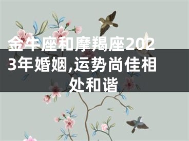 金牛座和摩羯座2023年婚姻,运势尚佳相处和谐