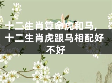 十二生肖算命虎和马,十二生肖虎跟马相配好不好