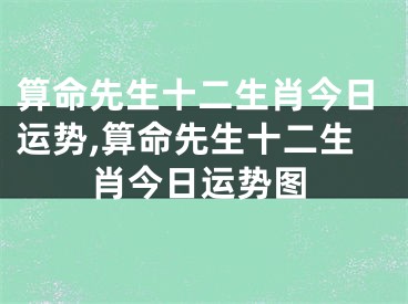 算命先生十二生肖今日运势,算命先生十二生肖今日运势图