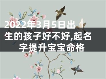 2022年3月5日出生的孩子好不好,起名字提升宝宝命格