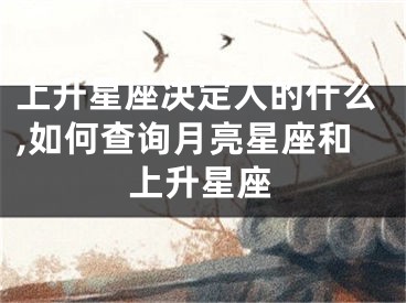 上升星座决定人的什么,如何查询月亮星座和上升星座