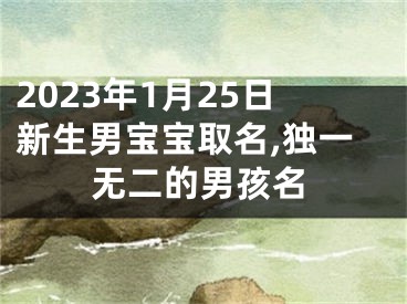 2023年1月25日新生男宝宝取名,独一无二的男孩名