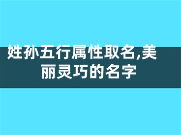 姓孙五行属性取名,美丽灵巧的名字