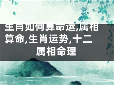 生肖如何算命运,属相算命,生肖运势,十二属相命理