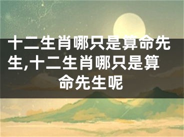 十二生肖哪只是算命先生,十二生肖哪只是算命先生呢