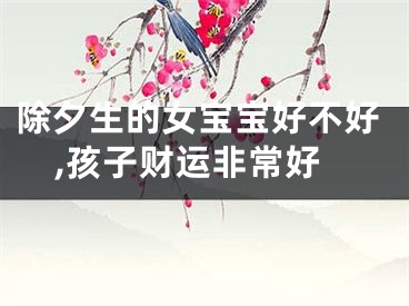 除夕生的女宝宝好不好,孩子财运非常好