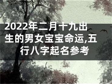 2022年二月十九出生的男女宝宝命运,五行八字起名参考