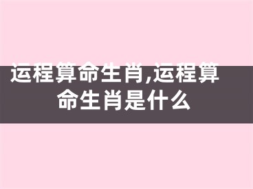 运程算命生肖,运程算命生肖是什么