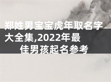 郑姓男宝宝虎年取名字大全集,2022年最佳男孩起名参考