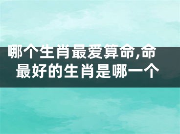 哪个生肖最爱算命,命最好的生肖是哪一个