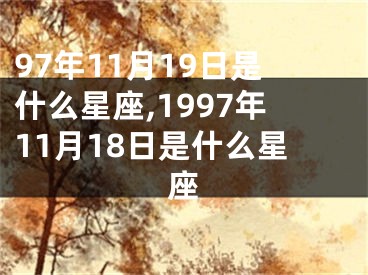 97年11月19日是什么星座,1997年11月18日是什么星座